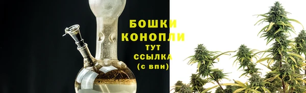 прущие грибы Верея