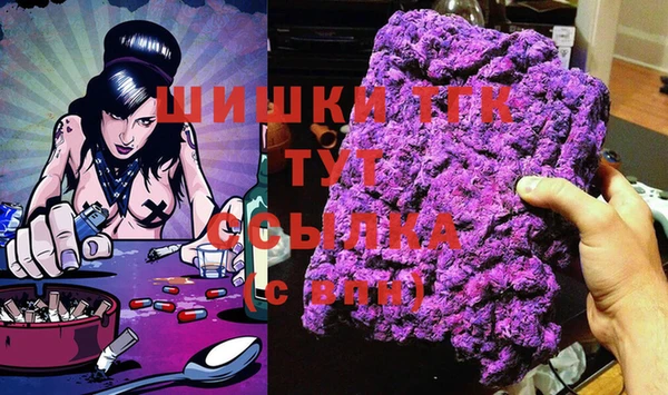 прущие грибы Бронницы