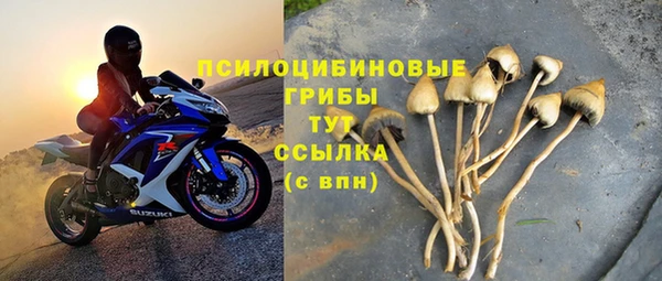 прущие грибы Верея