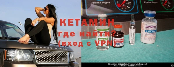 прущие грибы Верея