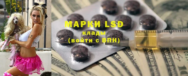 прущие грибы Верея